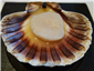 scallop in its own juices